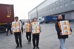 巳巳如意 爱在pp电子奥林匹斯之门 | 暖心送福利 欢喜迎新春